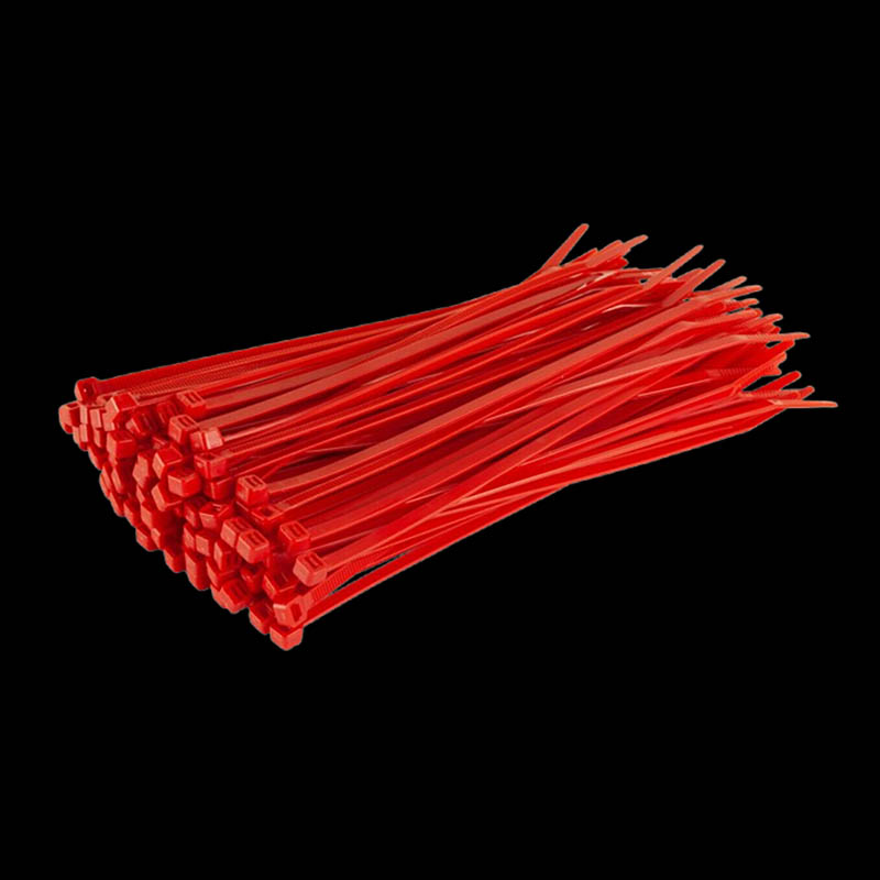 Plastic Zip Ties Mold Injection