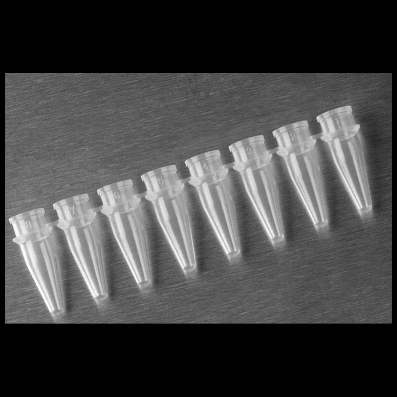 Plastic PCR tubes molding