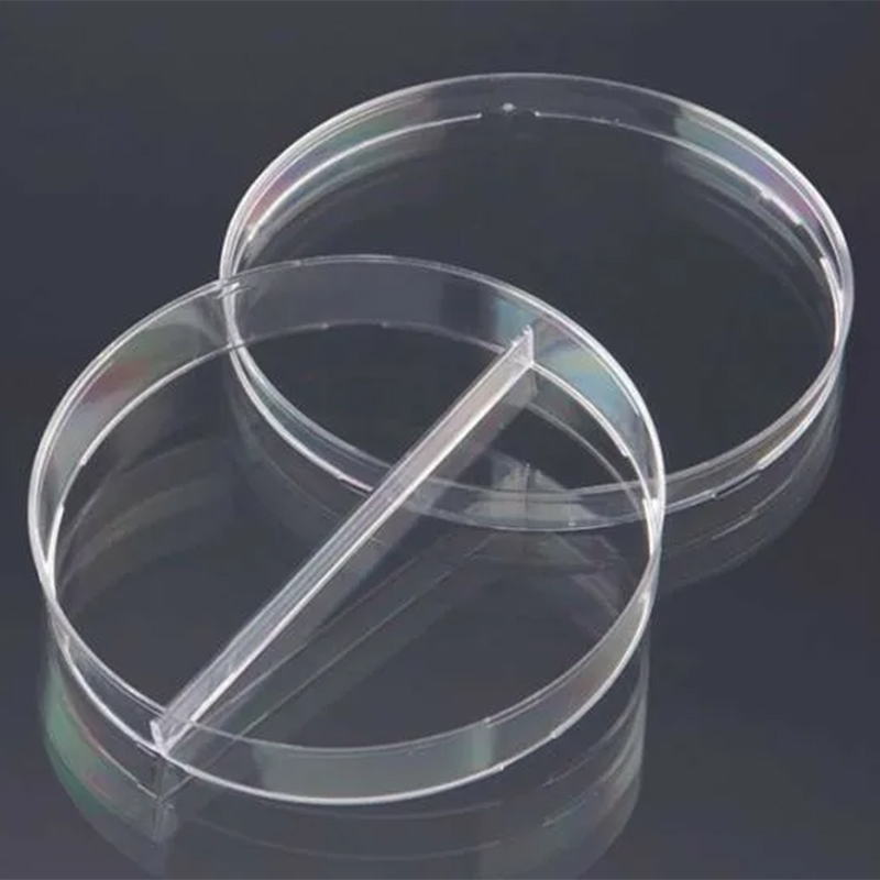 PMMA 플라스틱 곰팡이